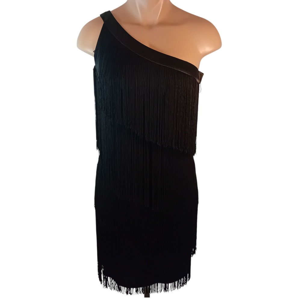 Aidan By Aidan Mattox Fringe Dress One Shoulder Cocktail Party‎ Flapper 4 READ